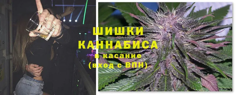 Бошки марихуана Bruce Banner  Лиски 